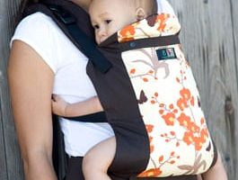 beco butterfly carrier
