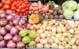 fresh food
