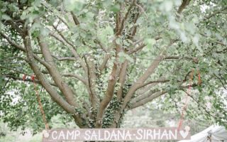 Camping Wedding Shower