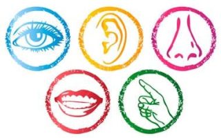 senses