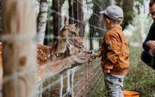 Charity Birthday Party Ideas