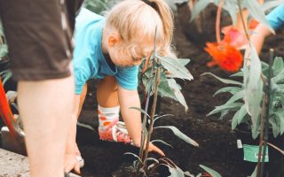 Chore Chart Template for Kids