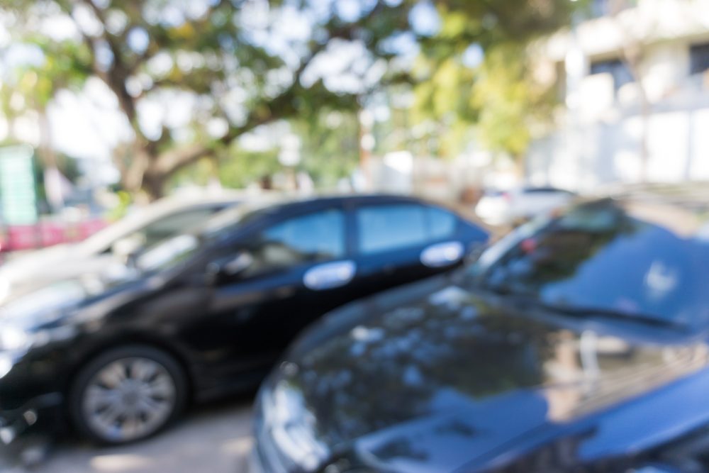 Two cars under a shade tree.