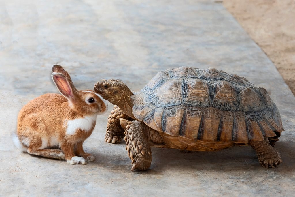 16 Life Lessons from Fairy Tales We Shouldn't Forget