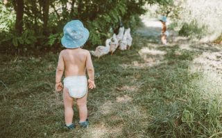 Children accompany the ducks to the river. Kids graze a poultry on village at summer. High quality photo