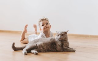 adorable toddler boy and grey british shorthair cat lying on floor together at home