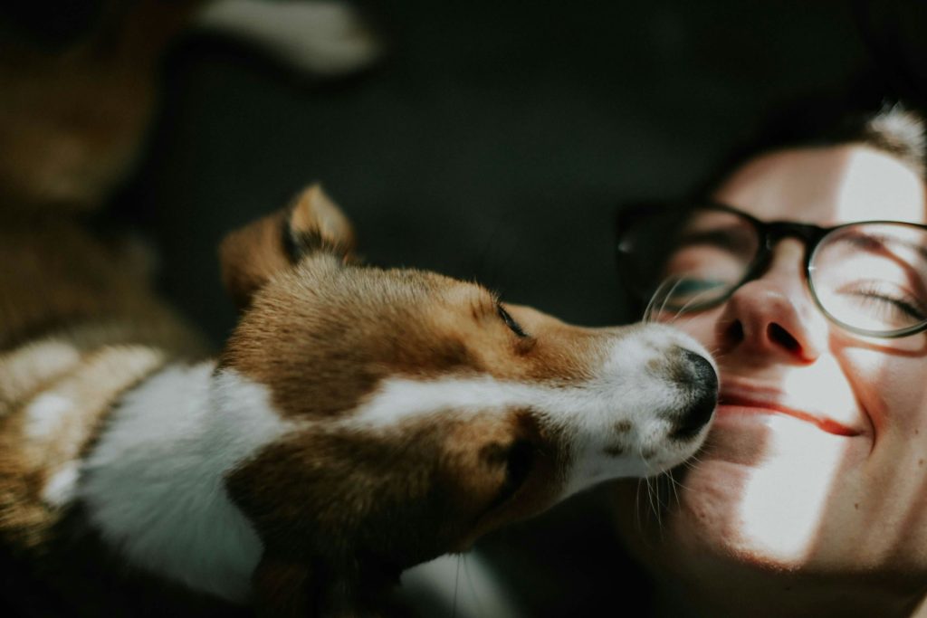 puppy licking owner's face