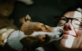 puppy licking owner's face