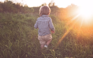 Young child walking alone through tall grass at sunset.