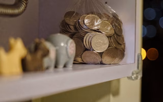 Bag of coins on a shelf next to small animal figurines.