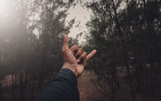 A hand making a shaka sign in a forest setting, symbolizing calm and resilience.