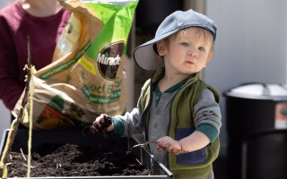 child is helping
