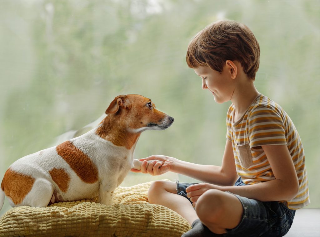 9 Baby Names That Sound Better For Dogs Than Children