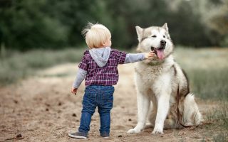 7 Behaviors That Make Dogs Bite Children