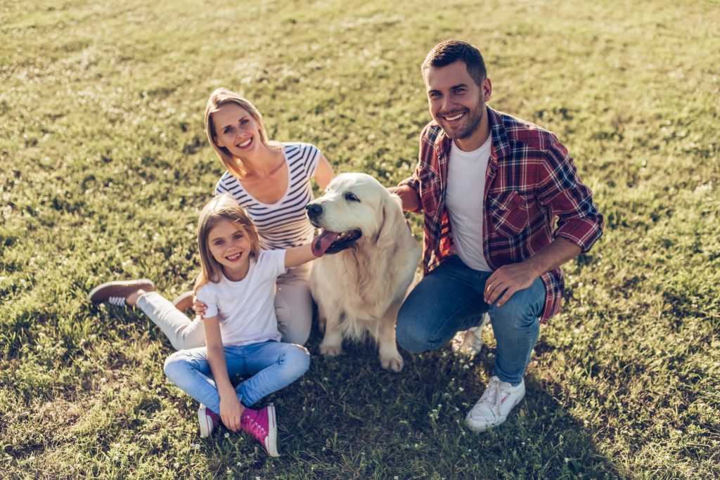 7 Dogs Who Saved Their Owners in Incredible Ways