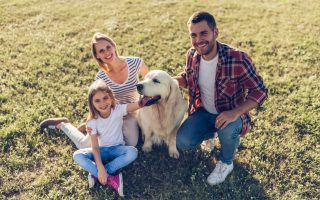 7 Dogs Who Saved Their Owners in Incredible Ways