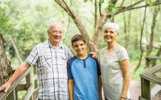 grandparent rights