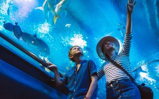 10 “Educational” Outings That Uncover Real Financial Strain