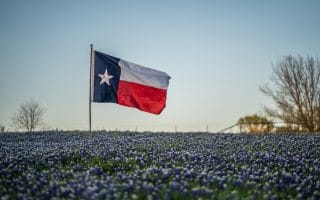 Texas Education Freedom Accounts