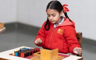 Girl In School