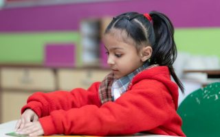 Young Girl In School