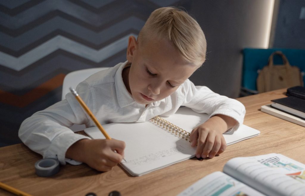 Young Boy Studying
