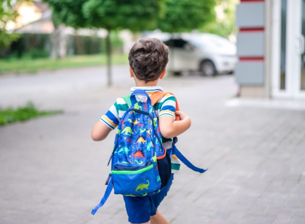Boy Going To School